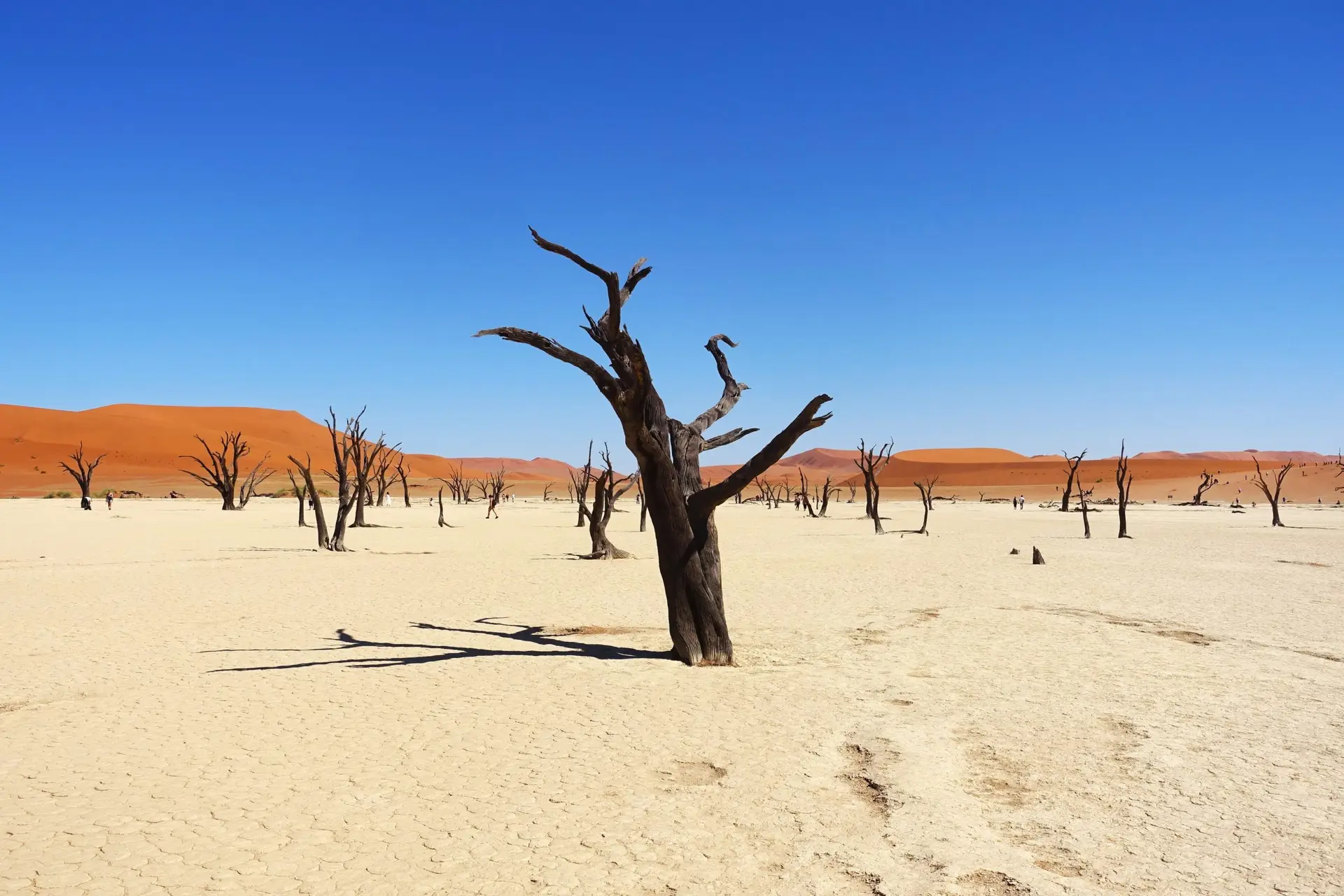 africa