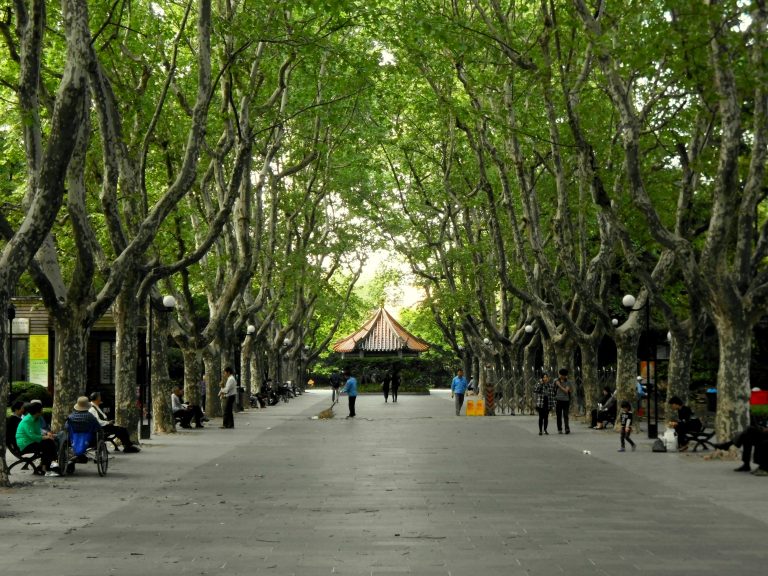 Xiangyang Park, Shanghai (still my local park!)