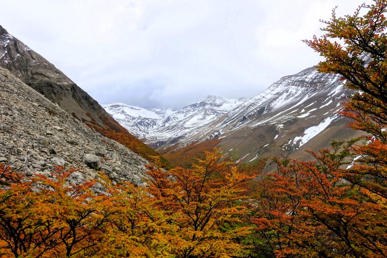 Torres del Paine
