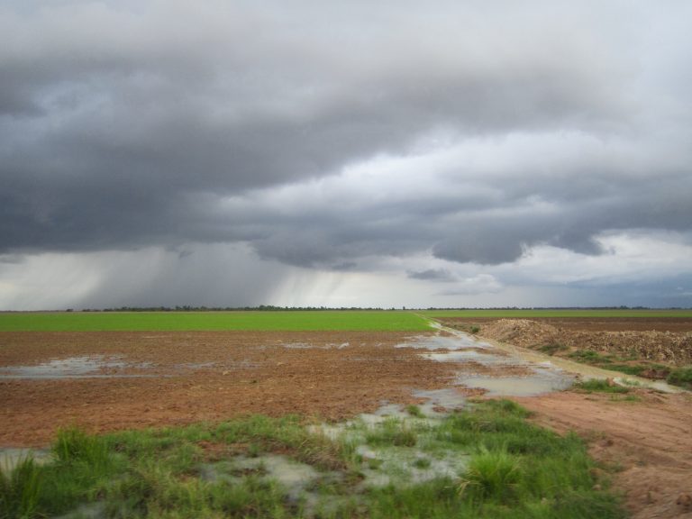 An approaching storm, which ended up stranding our minivan in this field after said storm flooded everything around us. Much fun!