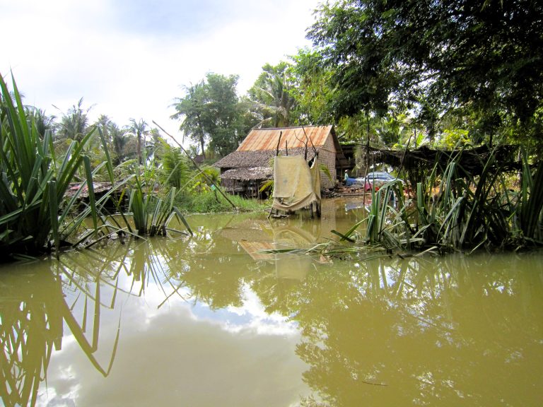 Kampong Phluk aka the 'flooded forest'