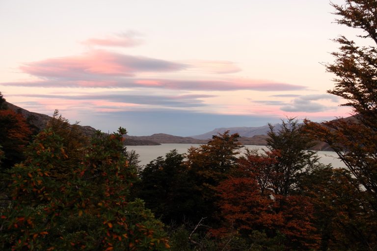 Torres del Paine