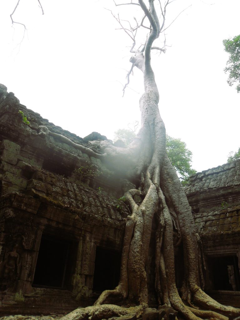 Ta Prohm