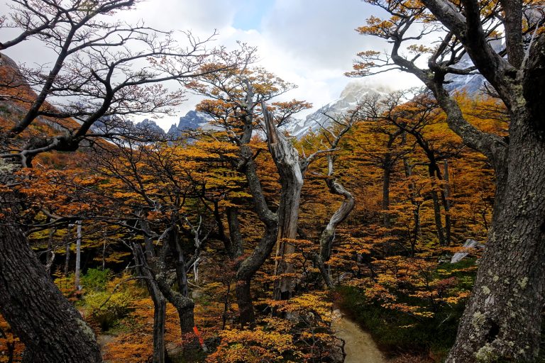 Torres del Paine