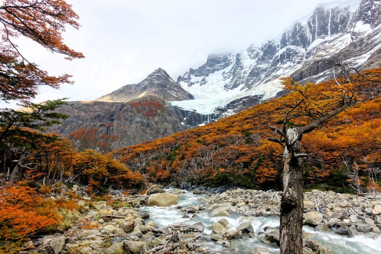 Torres del Paine
