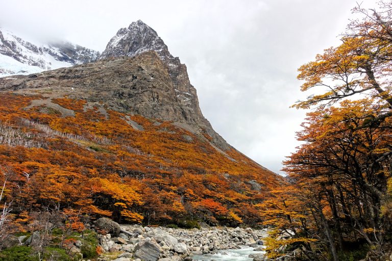Torres del Paine