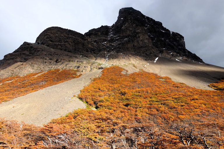 Torres del Paine