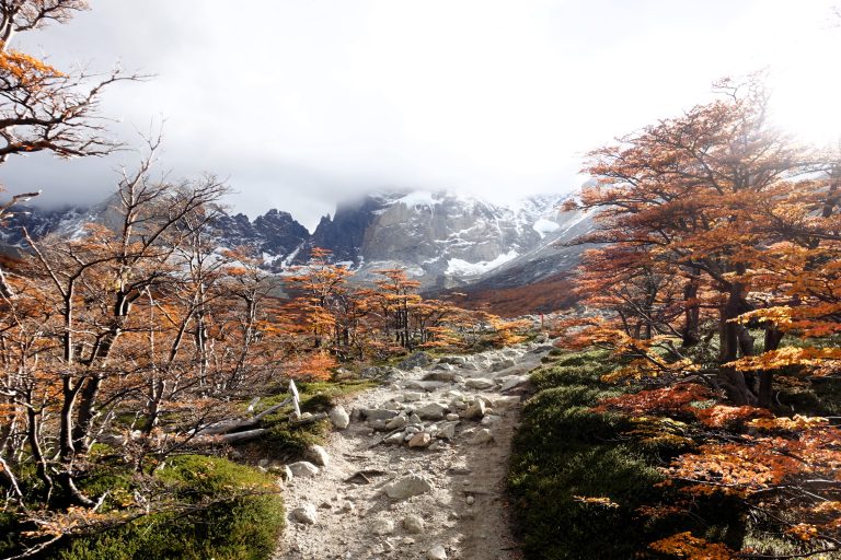 Torres del Paine