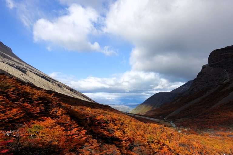 Torres del Paine