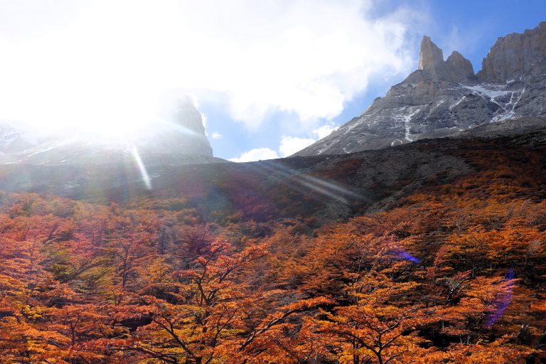 Torres del Paine