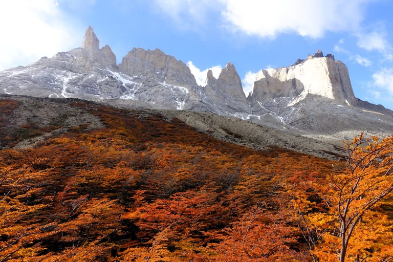 Torres del Paine