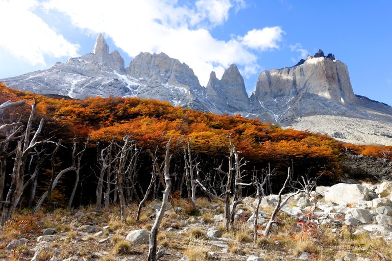 Torres del Paine
