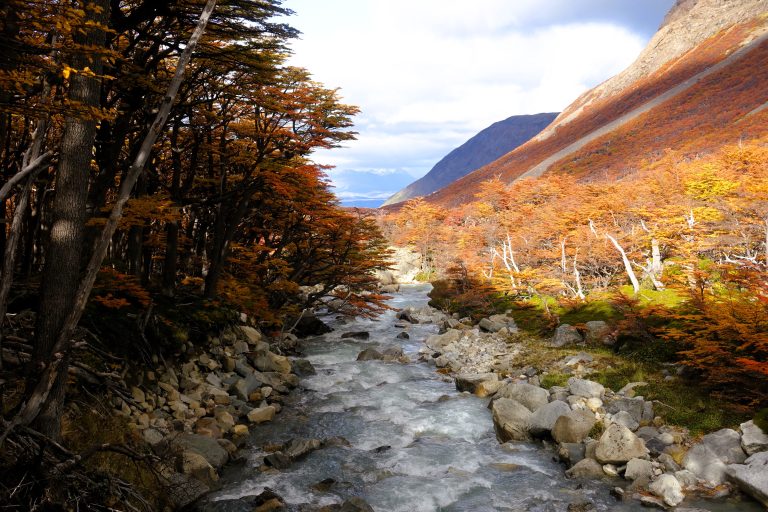 Torres del Paine