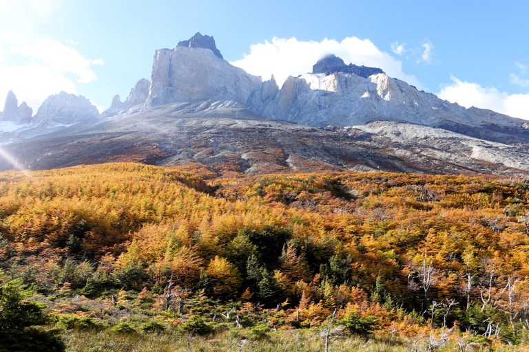 Torres del Paine