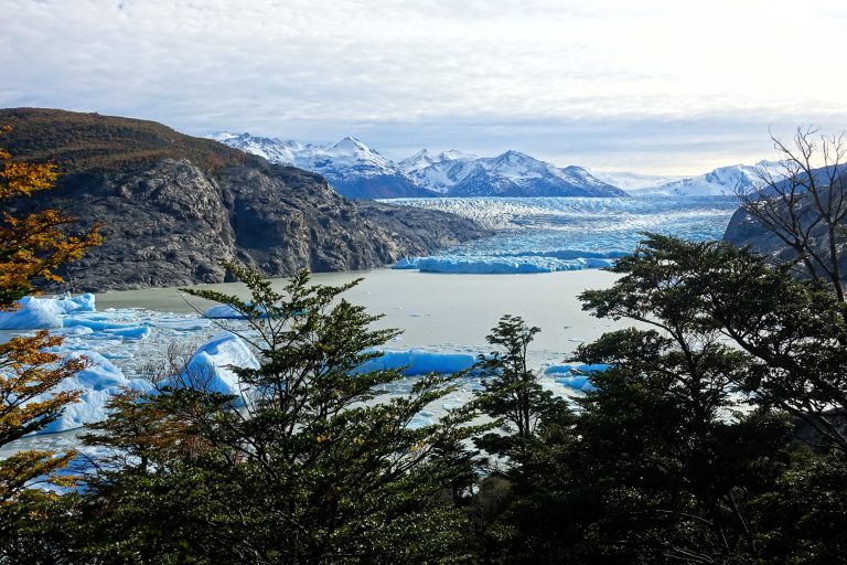 Grey Glacier