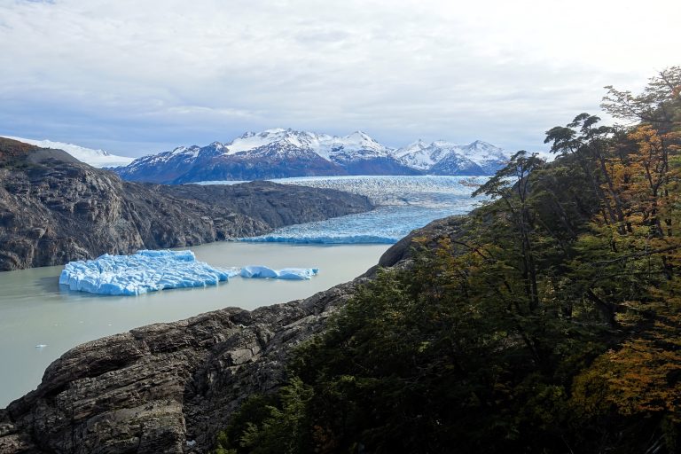 Grey Glacier