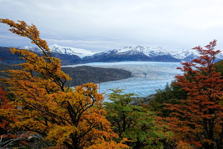 Grey Glacier