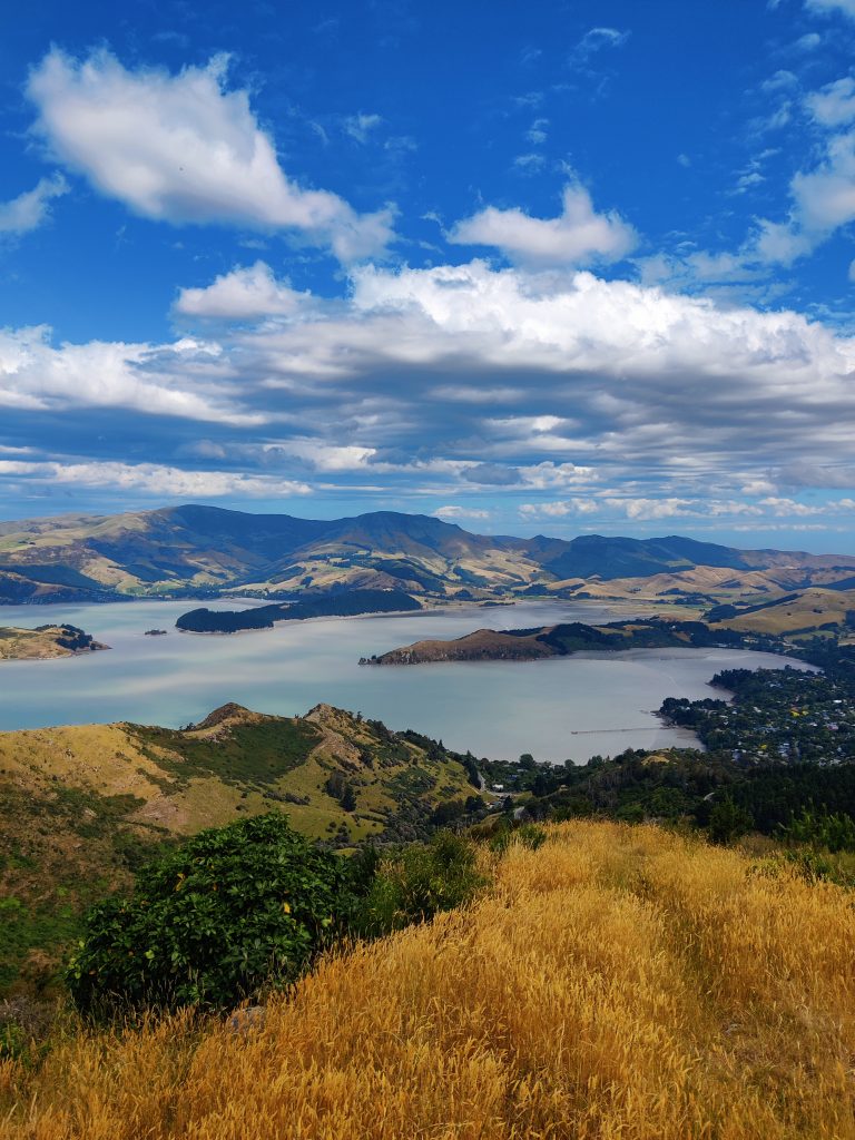 Landed in Christchurch and straight onto a hike with panoramic views!