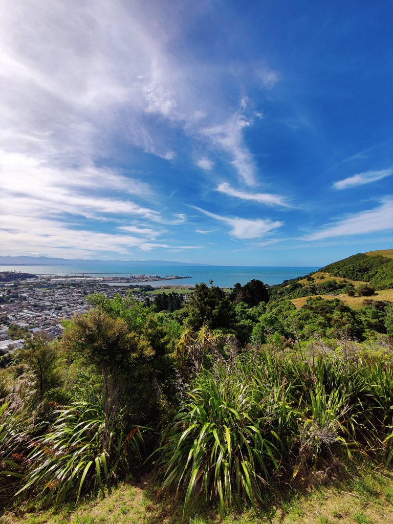 Hiking around Nelson