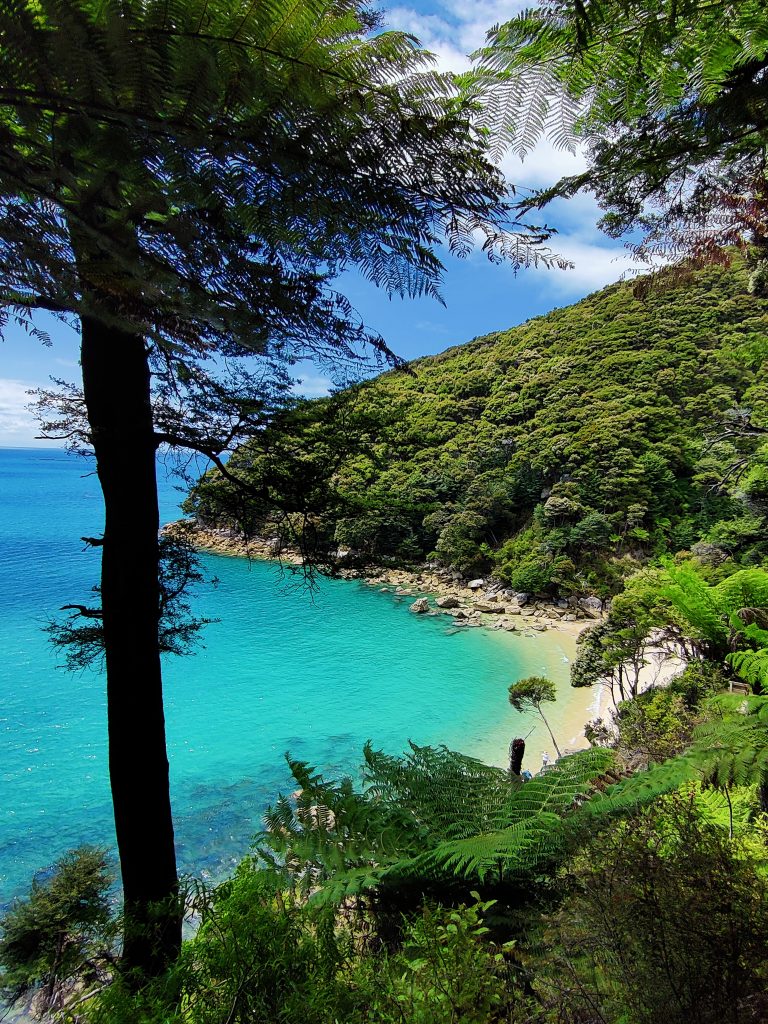 Abel Tasman