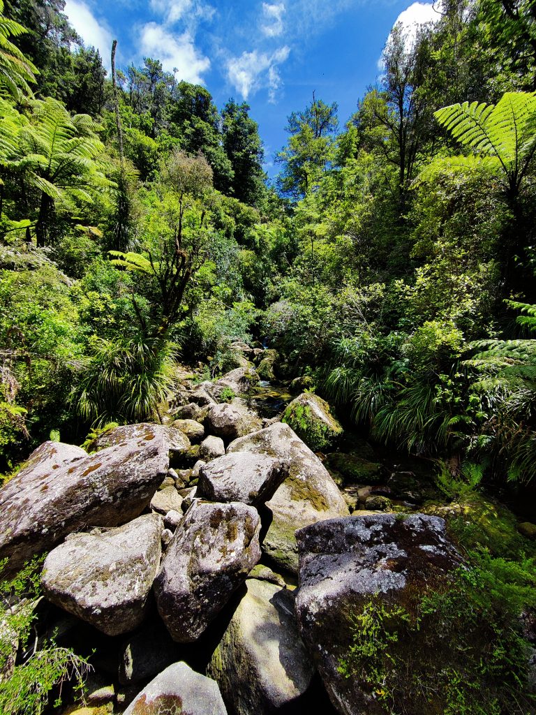 Abel Tasman