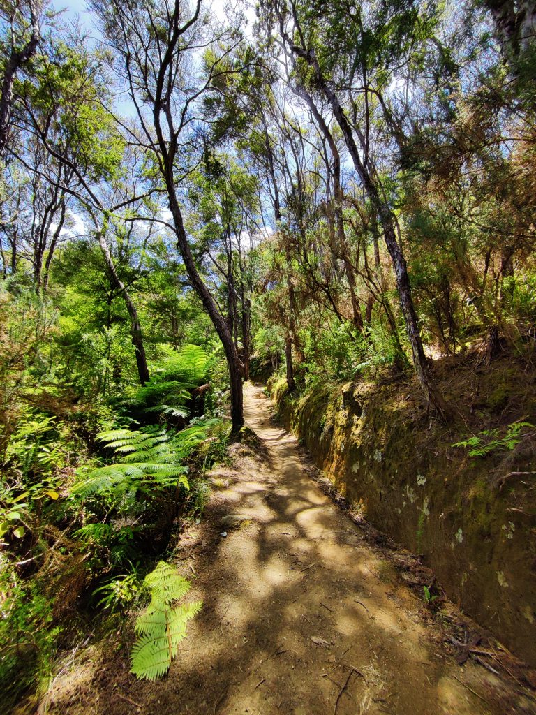 Abel Tasman