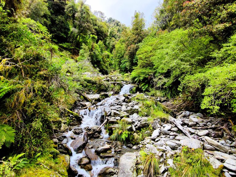 Callery Gorge Walk, Franz Josef