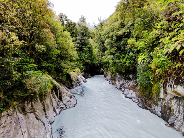 Callery Gorge, Franz Josef