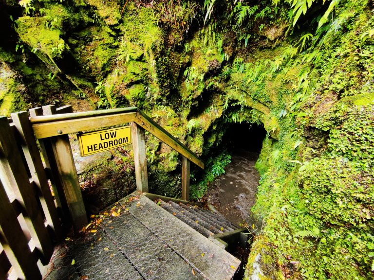 Tatare Tunnels Walk, Franz Josef