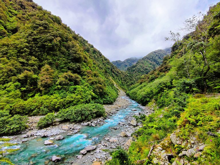 Tatare Tunnels Walk, Franz Josef
