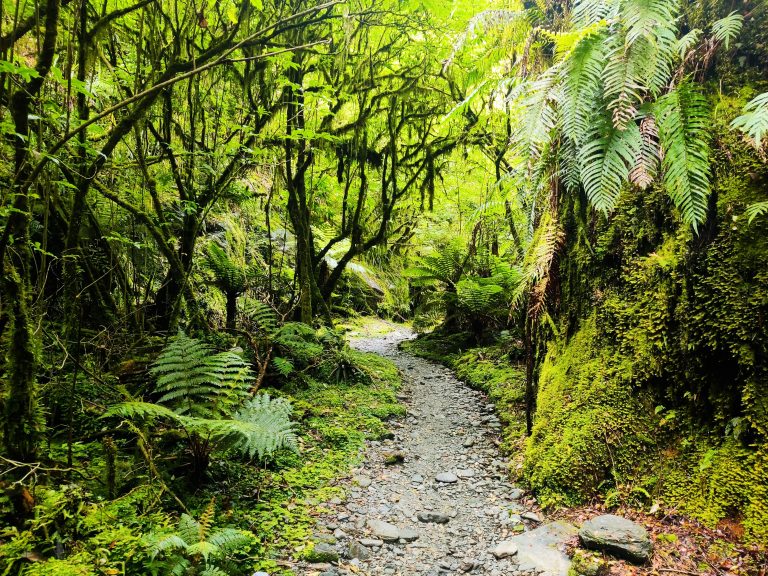 Roberts Point Track