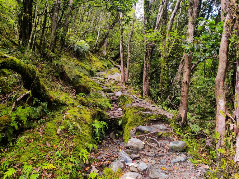 Roberts Point Track