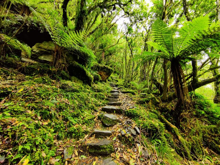 Roberts Point Track
