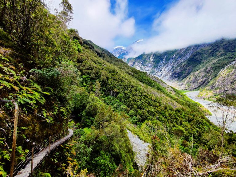Roberts Point Track