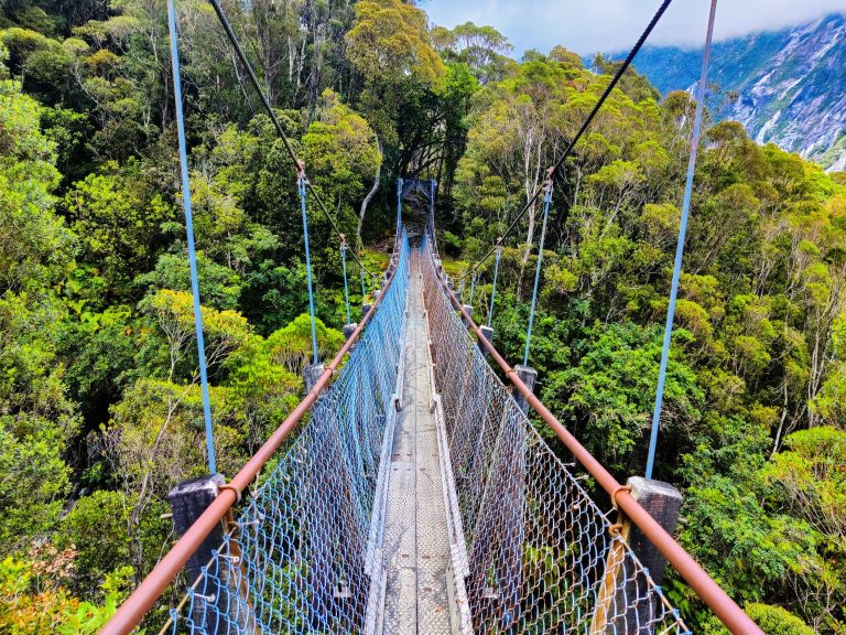 Roberts Point Track