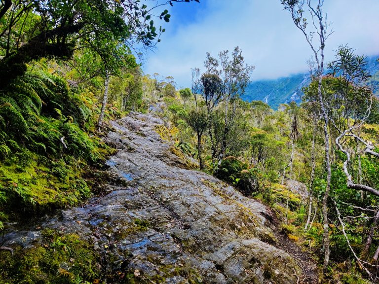 Roberts Point Track