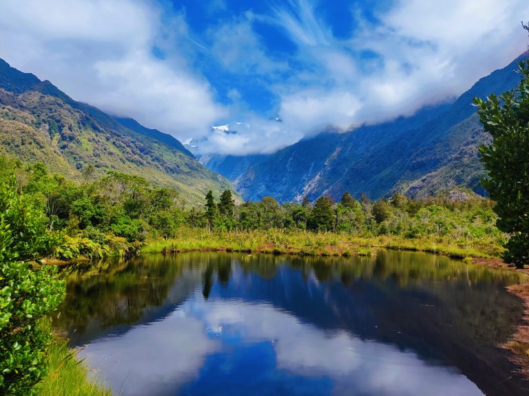 Peters Pool Walk, Franz Josef