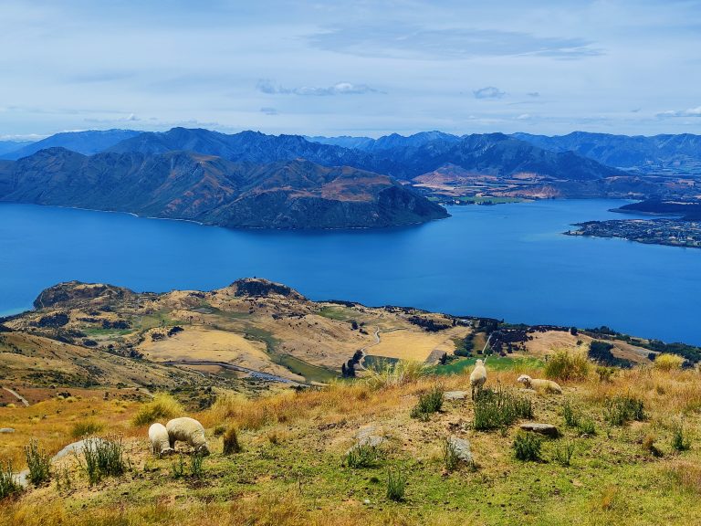 Roys Peak Track, Wanaka