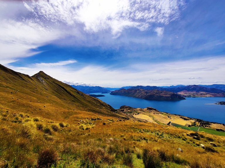 Roys Peak Track
