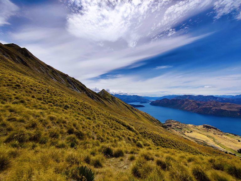 Roys Peak Track