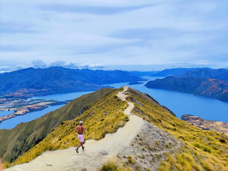 Roys Peak Track (there's a legit queue for this spot)