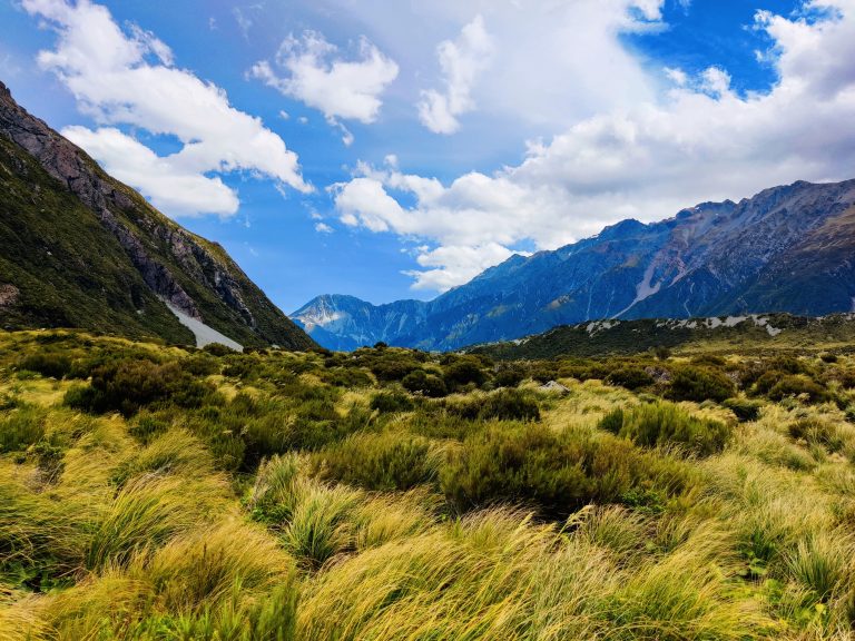 Hooker Valley Track
