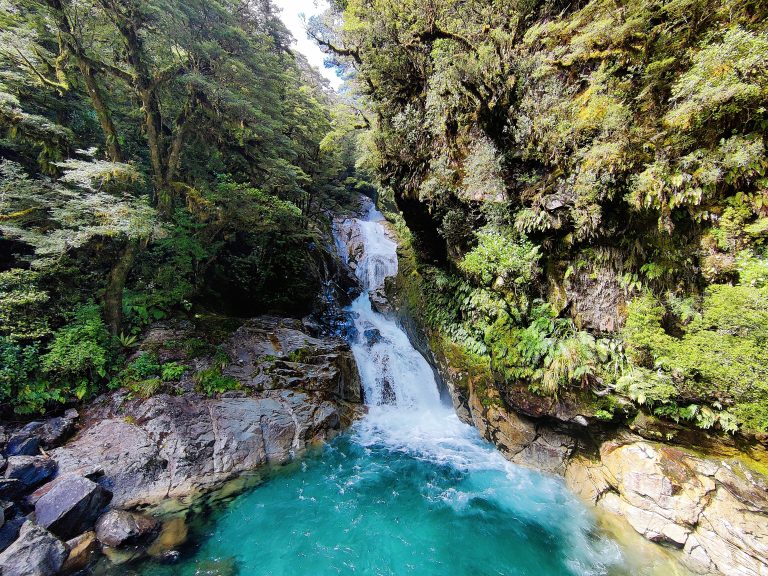 Falls Creek Falls, Fiordland