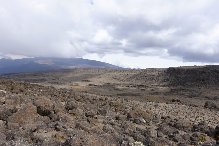 Alien landscapes