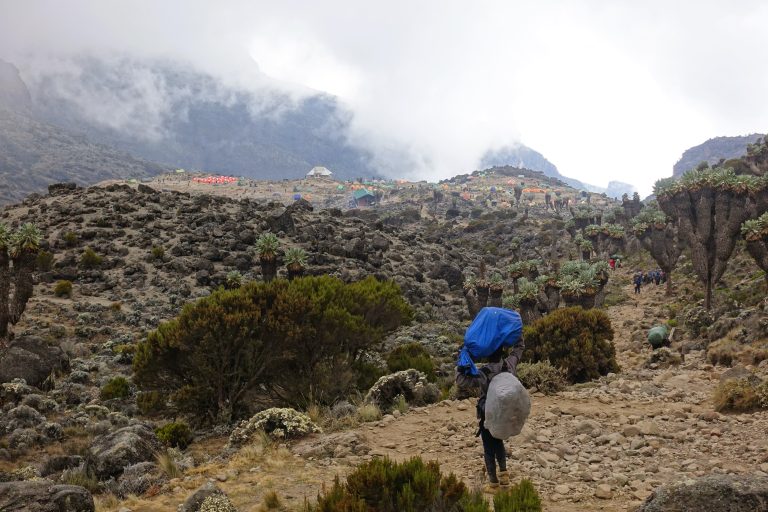 Credit to the porters, without whom these tent camps simply wouldn't exist (and neither would we 'climbers', actually).