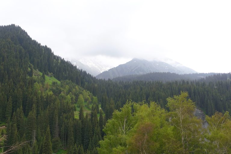 Hills in the vicinity of Big Almaty Lake