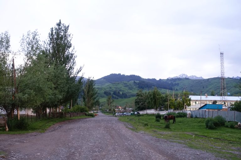 A typical Kazakh village around these parts.
