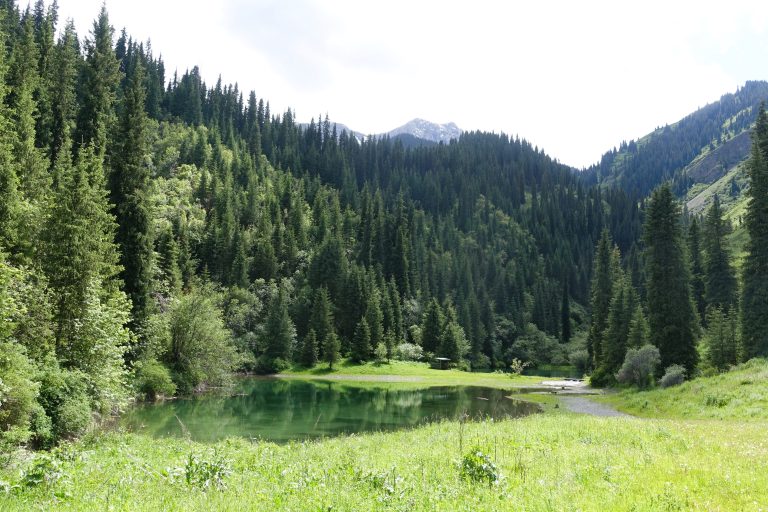 Absolutely lush. Only later did I find out that we did a mini-hike through bear territory to get here.