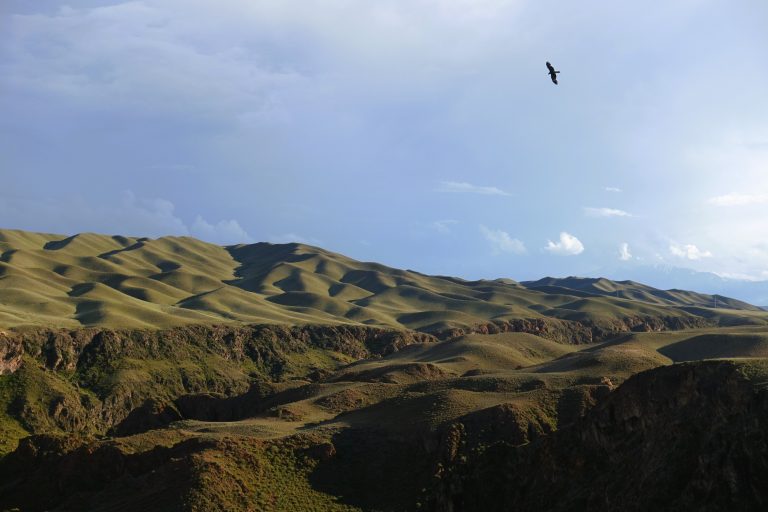 Note that there were actually THREE Golden Eagles circling overhead as we surveyed this area. They kept circling and swooping - as if they'd sighted prey, but none of us could figure out what. As they circled closer and closer, however, I figured it'd be best to head back into the car!