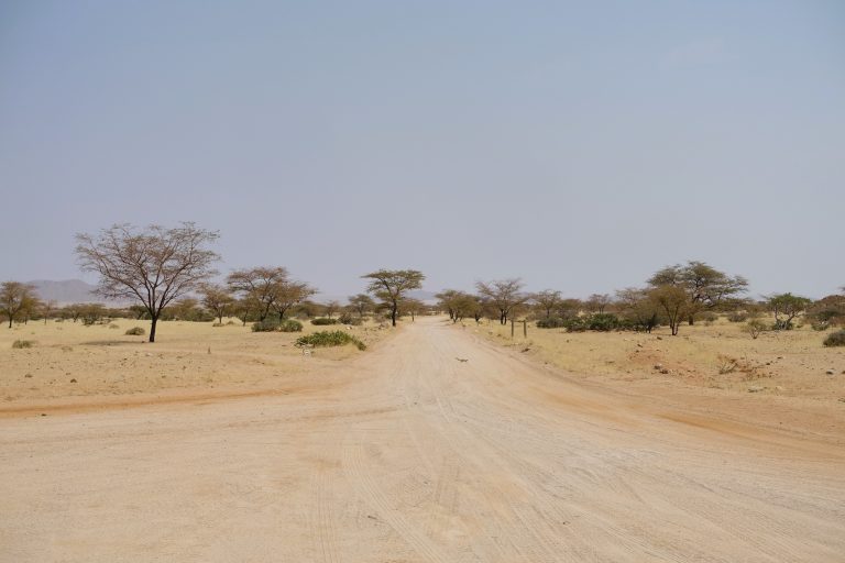 This empty campsite in the Namib desert was where we pitched up our tents for the first couple of nights on the tour. Magnificently sparse.